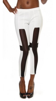 Cross Mesh Insert Leggings 